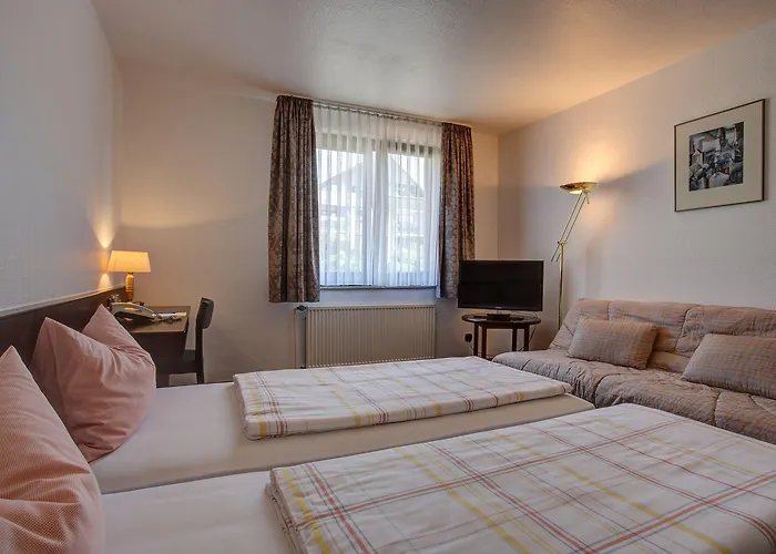 Trip Hotel 3*